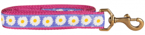 Daisy - 1-inch Ribbon Dog Leash