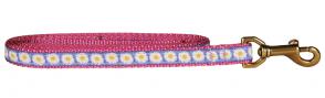 Daisy - 5/8-inch Ribbon Dog Leash