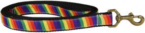 Rainbow - 1-inch Ribbon Dog Leash