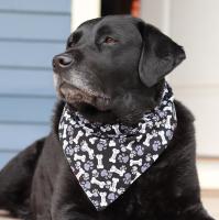 Reversible Dog Bandana - Large Lobster/Bones and Paws