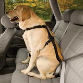 Dog Harness - Car Safety