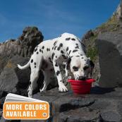 Collapsible Silicone Dog Water Bowl