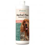 Herbal Flea Shampoo for Dogs and Cats - 16 fl oz