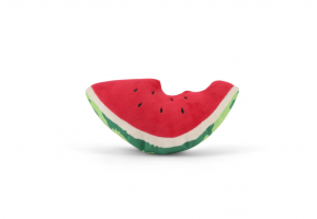 Squeaky and Crinkly Stuffed Dog Toy - Watermelon