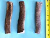 Elk Antler Dog Chews - Large