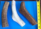 Elk Antler Dog Chews - X Large