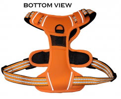 Utility Dog Harness - Blaze Orange
