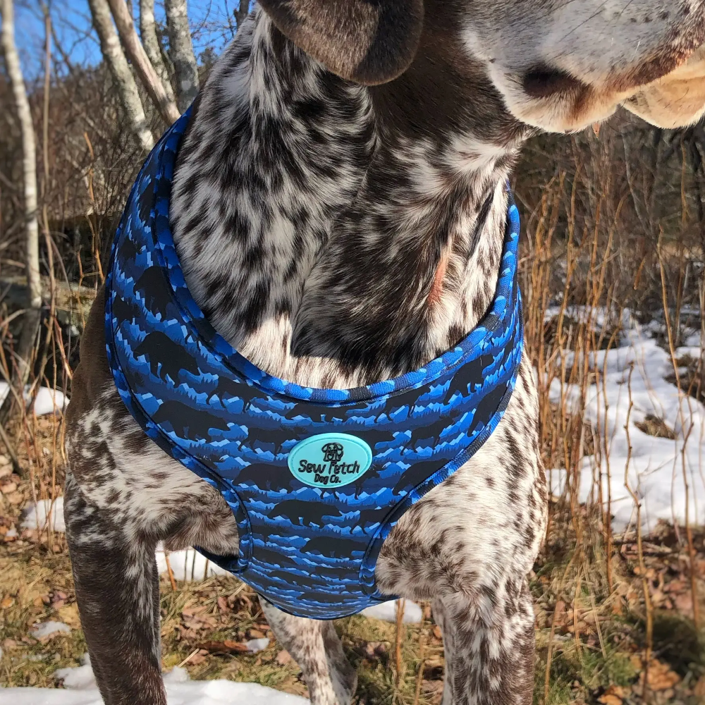 swf-dog-harness-neoprene-blue-moose-and-bear-4