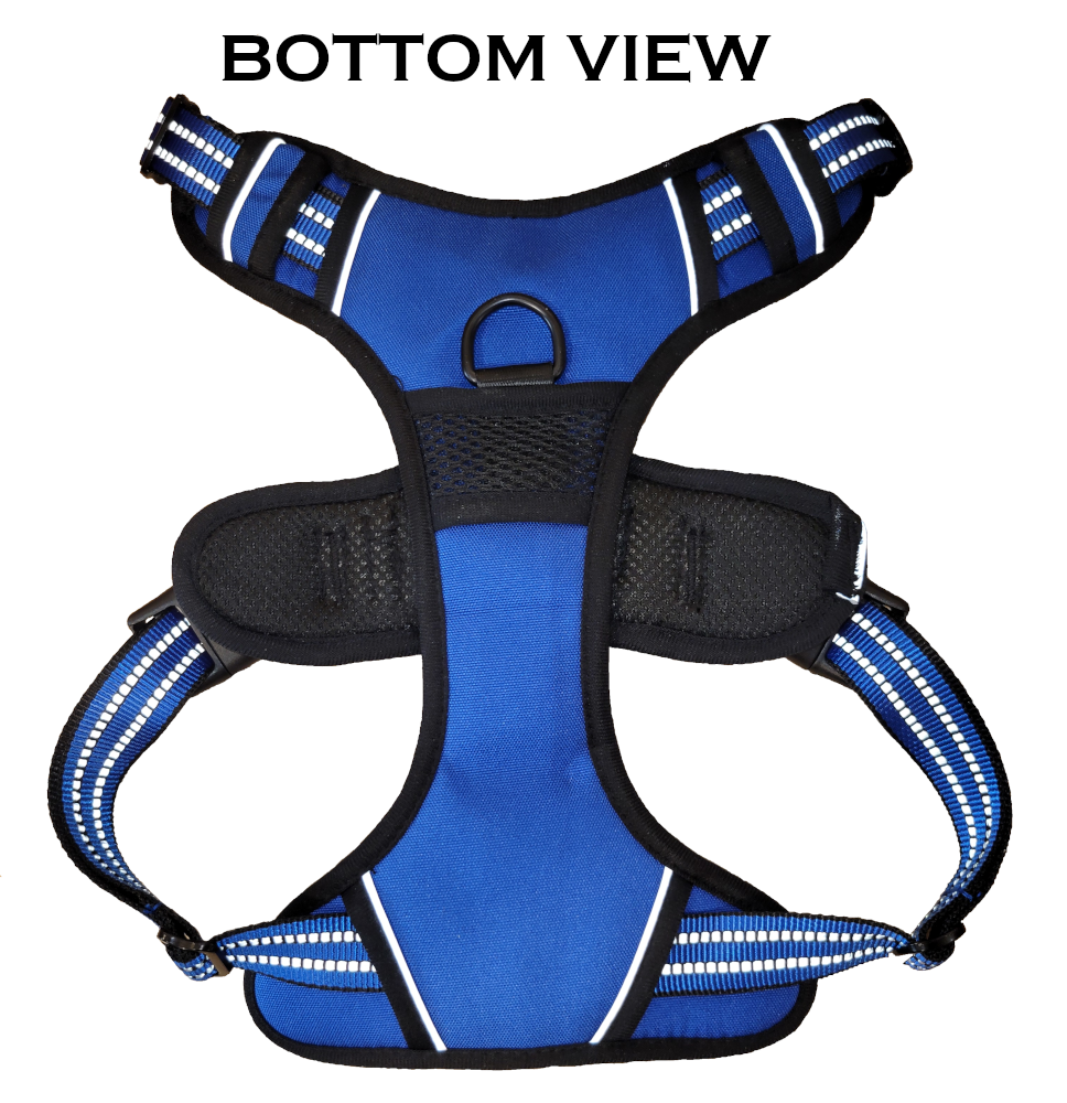 swf-dog-harness-utility-blue-2