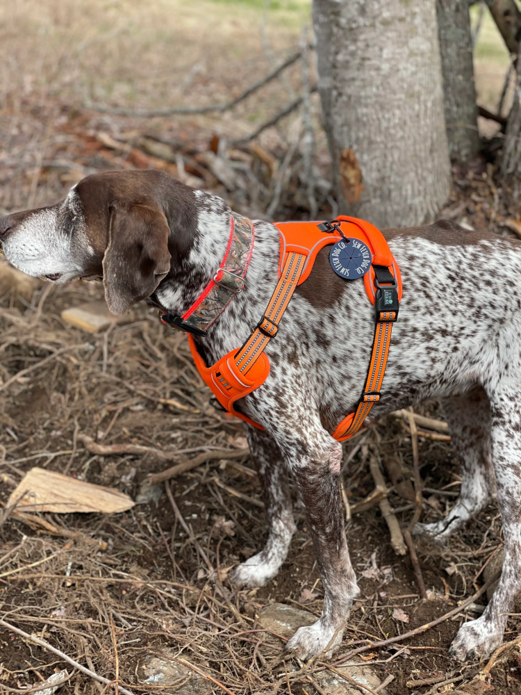 swf-dog-harness-utility-orange-3